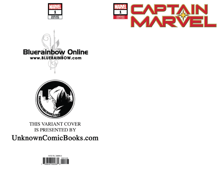 Captain Marvel #1 Unknown Comic Books Exclusive Blank 1/16/2019 - for just $20! 