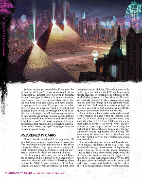 Shadowrun RPG: Risks & Rewards (6E) - for just $49.99! 