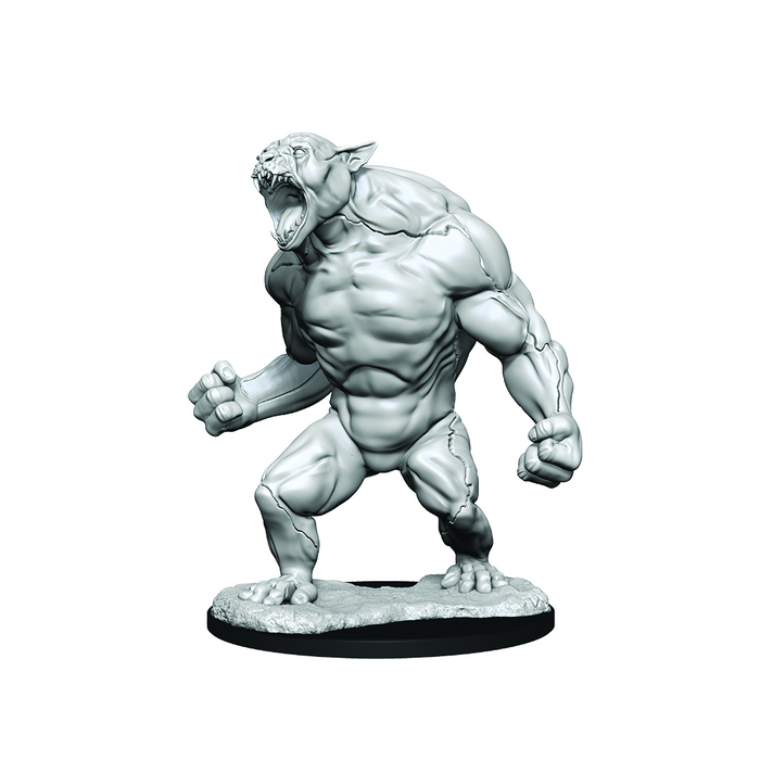 Critical Role: Aeorian Reverser - for just $8.99! 