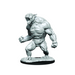 Critical Role: Aeorian Reverser - for just $8.99! 