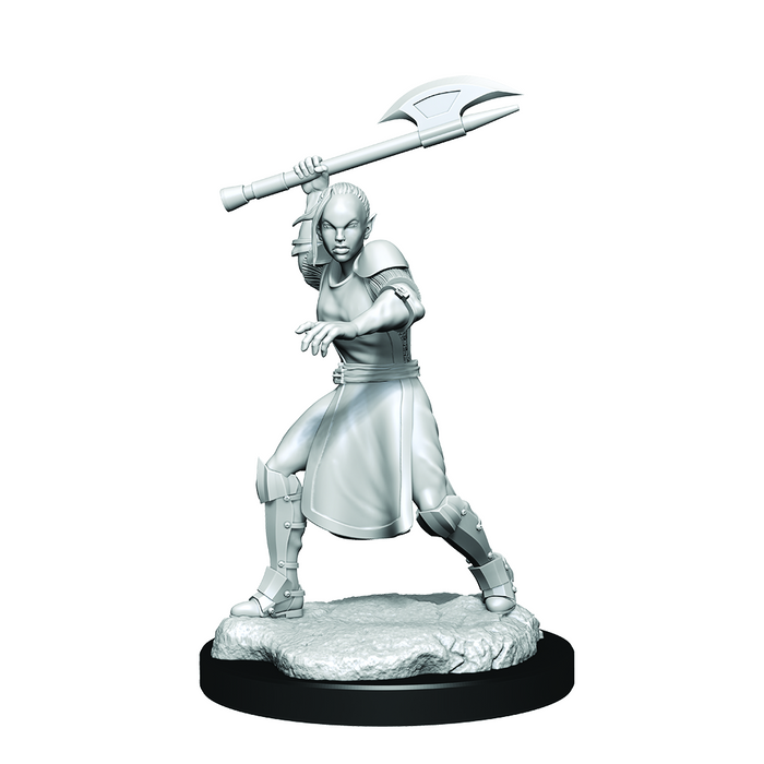 Critical Role: Half-Elf Echo Knight and Echo Female - for just $5.99! 