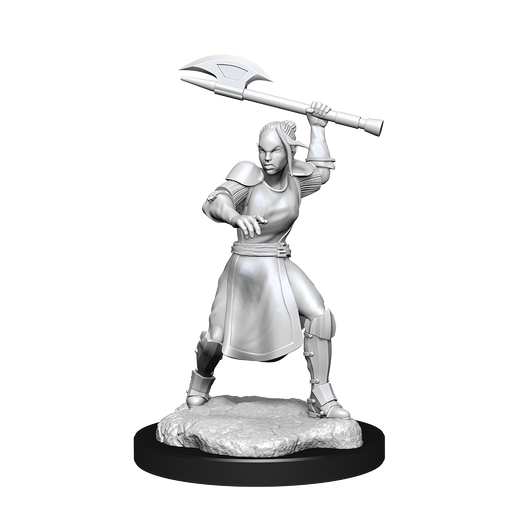 Critical Role: Half-Elf Echo Knight and Echo Female - for just $5.99! 