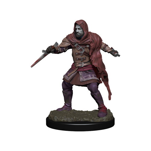 Critical Role: Hollow One Rogue and Sorceror Male - for just $5.99! 