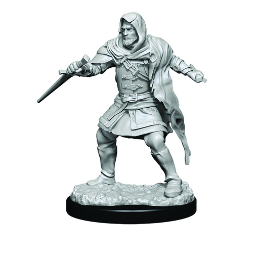 Critical Role: Hollow One Rogue and Sorceror Male - for just $5.99! 
