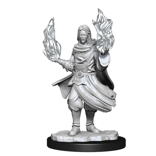 Critical Role: Hollow One Rogue and Sorceror Male - for just $5.99! 