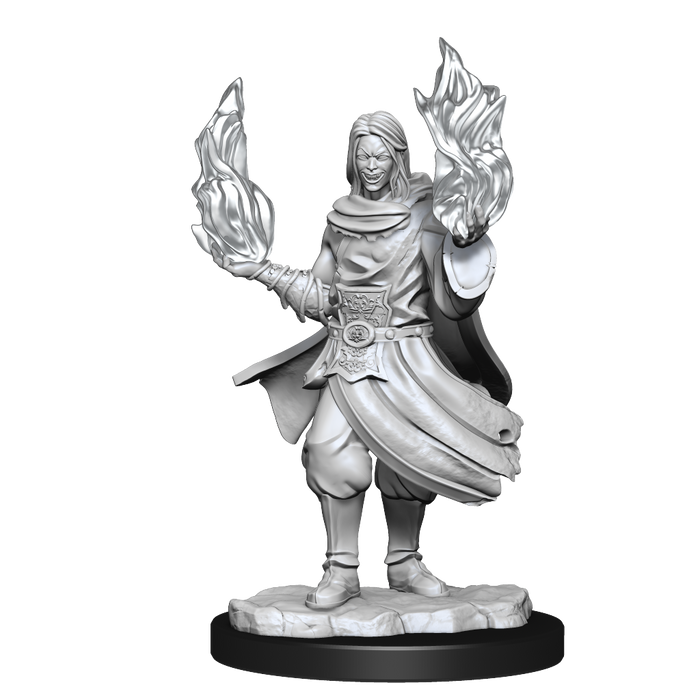 Critical Role: Hollow One Rogue and Sorceror Male - for just $5.99! 