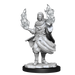 Critical Role: Hollow One Rogue and Sorceror Male - for just $5.99! 