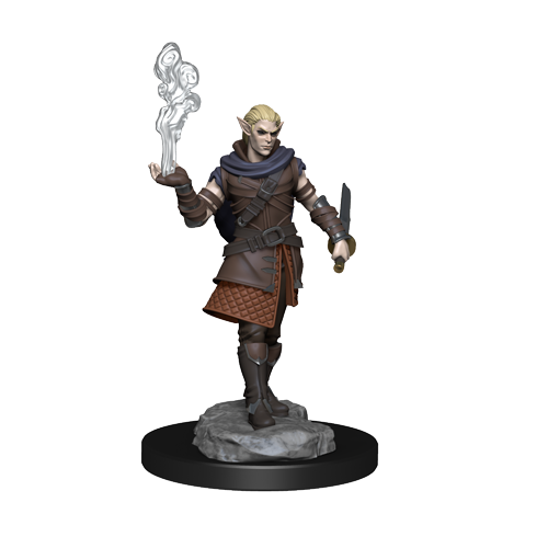 Critical Role: Pallid Elf Rogue and Bard Male - for just $5.99! 