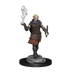 Critical Role: Pallid Elf Rogue and Bard Male - for just $5.99! 
