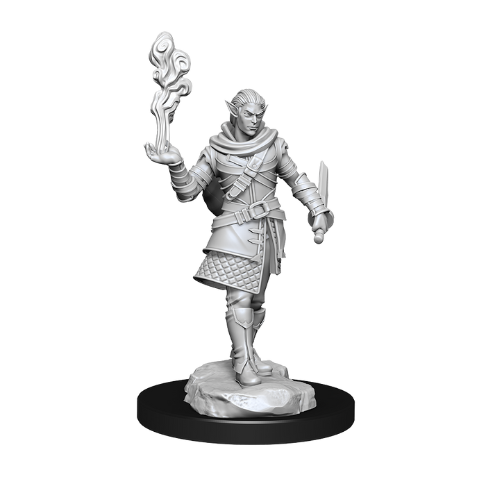 Critical Role: Pallid Elf Rogue and Bard Male - for just $5.99! 