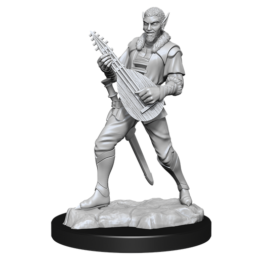 Critical Role: Pallid Elf Rogue and Bard Male - for just $5.99! 