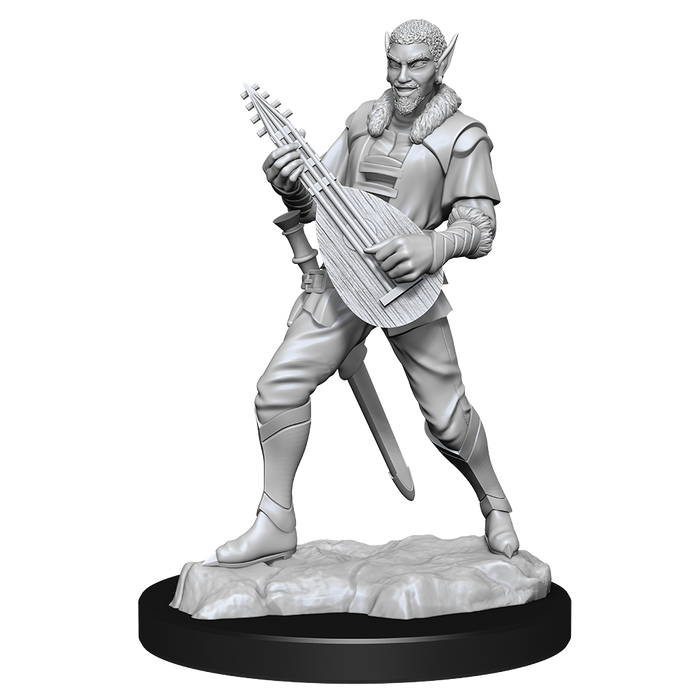 Critical Role: Pallid Elf Rogue and Bard Male - for just $5.99! 