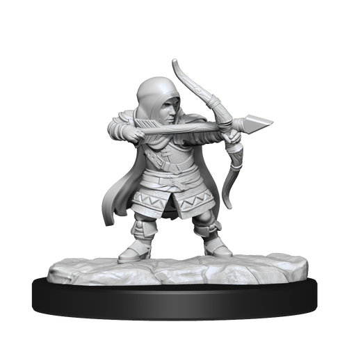 Critical Role: Lotusden Halfling Ranger Male - for just $5.99! 