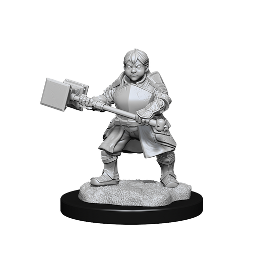 Critical Role: Dwarf Dwendalian Empire Fighter Female - for just $5.99! 