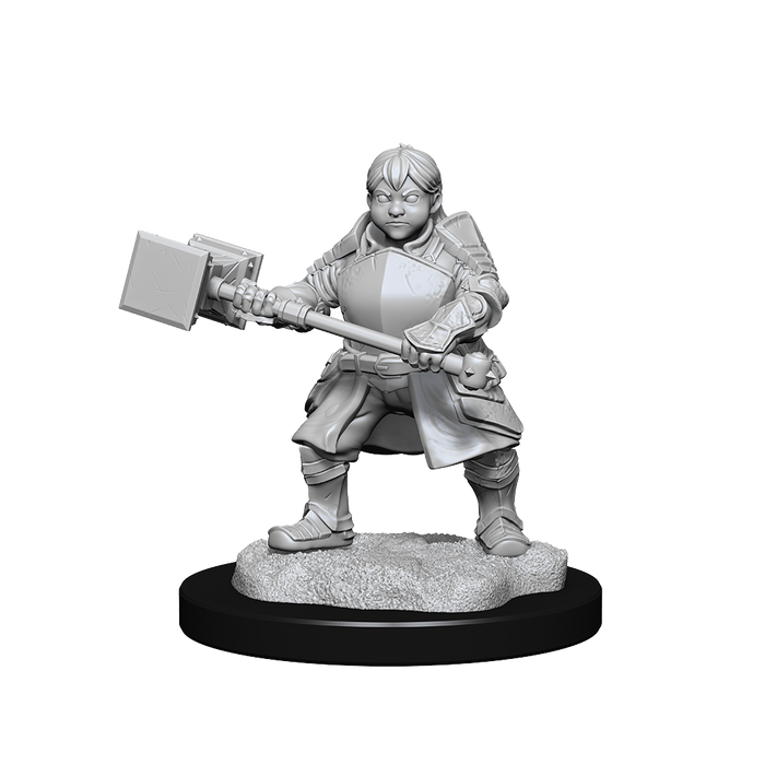 Critical Role: Dwarf Dwendalian Empire Fighter Female - for just $5.99! 
