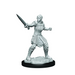 Critical Role: Human Dwendalian Empire Fighter Female - for just $2.99! 