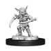 Critical Role: Goblin Sorceror and Rogue Female - for just $5.99! 