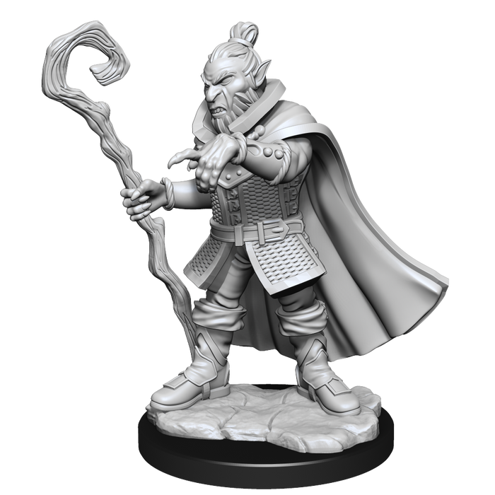 Critical Role: Hobgoblin Wizard and Druid Male - for just $5.99! 