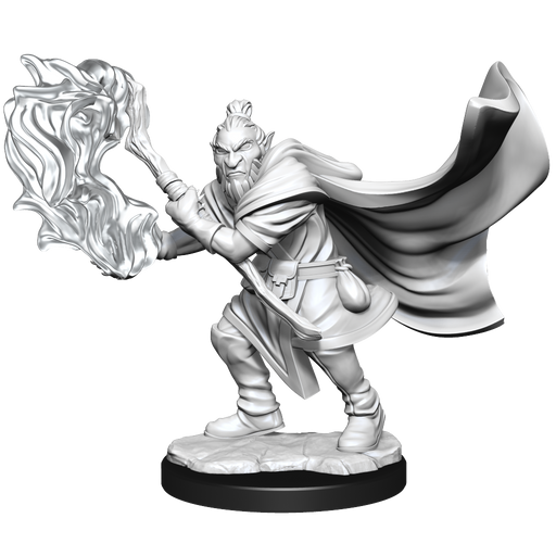 Critical Role: Hobgoblin Wizard and Druid Male - for just $5.99! 