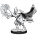 Critical Role: Hobgoblin Wizard and Druid Male - for just $5.99! 