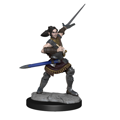 Critical Role: Half-Elf Paladin Xhorhas Female - for just $5.99! 