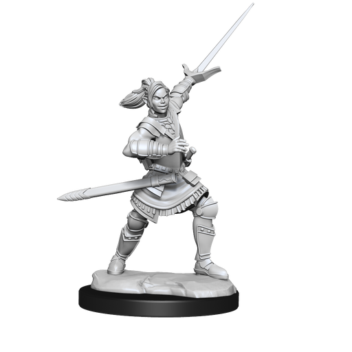 Critical Role: Half-Elf Paladin Xhorhas Female - for just $5.99! 