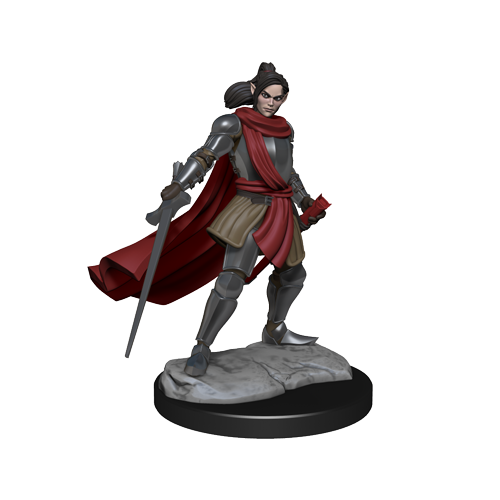 Critical Role: Half-Elf Paladin Xhorhas Female - for just $5.99! 