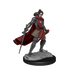 Critical Role: Half-Elf Paladin Xhorhas Female - for just $5.99! 