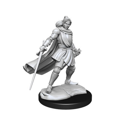 Critical Role: Half-Elf Paladin Xhorhas Female - for just $5.99! 