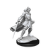 Critical Role: Half-Elf Paladin Xhorhas Female - for just $5.99! 