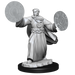 Critical Role: Human Graviturgy and Chronurgy Wizards Female - for just $5.99! 