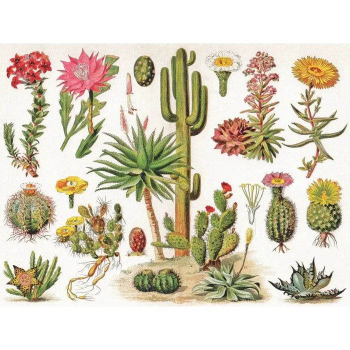 Cacti ~ Cactus 1000 Piece Jigsaw Puzzle NYPC - for just $28.99! 