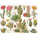 Cacti ~ Cactus 1000 Piece Jigsaw Puzzle NYPC - for just $28.99! 