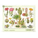Cacti ~ Cactus 1000 Piece Jigsaw Puzzle NYPC - for just $28.99! 