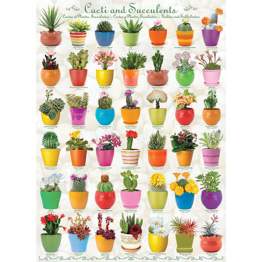 Cacti & Succulents 1000 Piece Jigsaw Puzzle Eurographics - for just $19.99! 