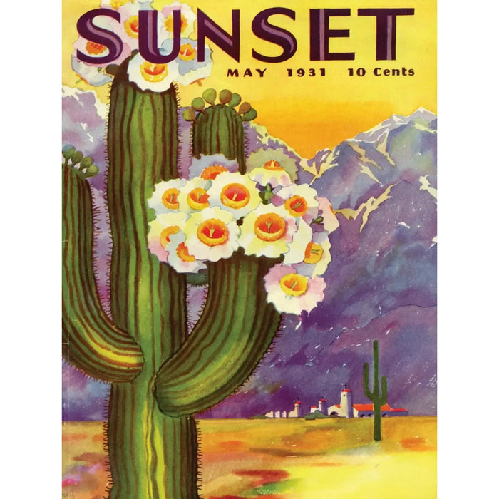 Cactus Blooms Sunset Magazine 500 Piece Jigsaw Puzzle NYPC - for just $26.99! 