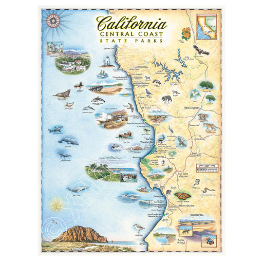California Central Coast State Park 1000 Piece Jigsaw Puzzle Xplorer Maps - for just $24.99! 