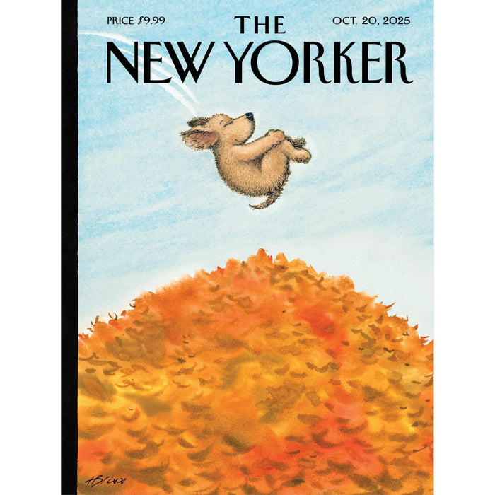 Cannonball The New Yorker 300 Piece Jigsaw Puzzle NYPC - for just $26.99! 
