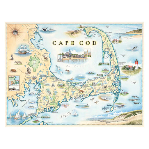 Cape Cod 1000 Piece Jigsaw Puzzle Xplorer Maps - for just $24.99! 