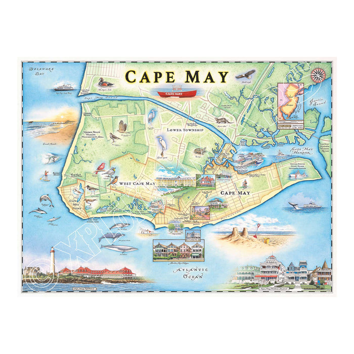 Cape May 1000 Piece Jigsaw Puzzle Xplorer Maps - for just $24.99! 