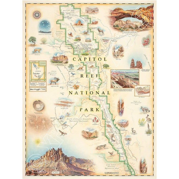 Capitol Reef National Park 1000 Piece Jigsaw Puzzle Xplorer Maps - for just $24.99! 
