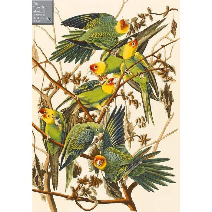 Carolina Parakeets 1000 Piece Jigsaw Puzzle Cambridge - for just $24.99! 
