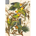 Carolina Parakeets 1000 Piece Jigsaw Puzzle Cambridge - for just $24.99! 