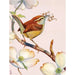 Carolina Wren 500 Piece Jigsaw Puzzle NYPC - for just $22.99! 