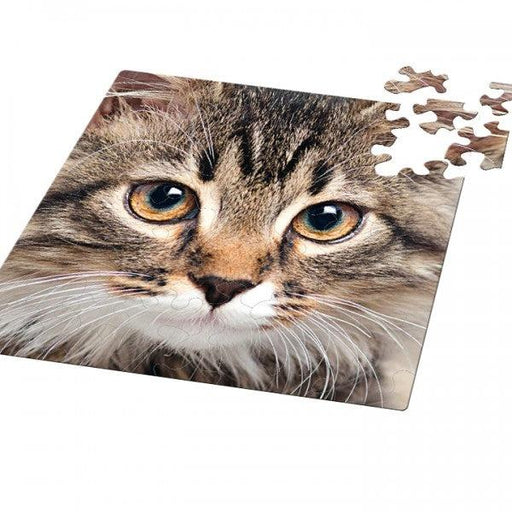 Cat 66 Piece Pocket Jigsaw Puzzle Curiosi - for just $6.99! 