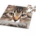 Cat 66 Piece Pocket Jigsaw Puzzle Curiosi - for just $6.99! 