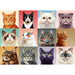 Cattitude 1000 Piece Jigsaw Puzzle Snappy - for just $34.99! 