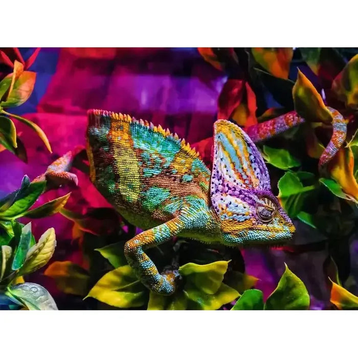 Chameleon 500 Piece Jigsaw Puzzle Ravensburger - for just $19.99! 