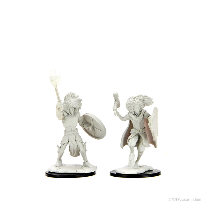 D&D: Nolzur's Marvelous Miniatures - Changeling Cleric - for just $5.99! 