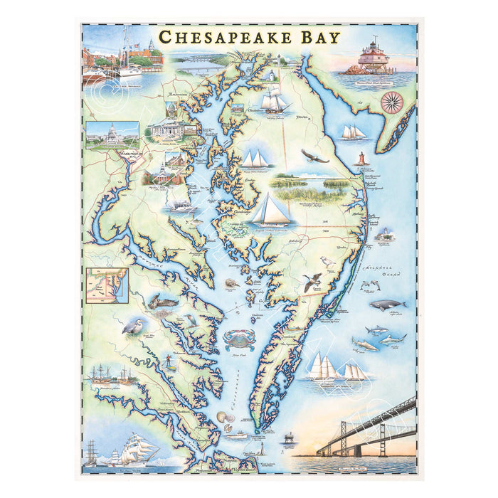 Chesapeake Bay 1000 Piece Jigsaw Puzzle Xplorer Maps - for just $24.99! 